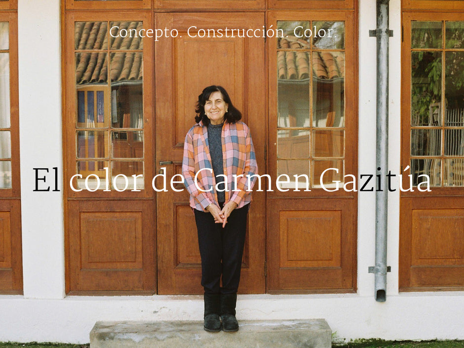 El color de Carmen Gazitúa