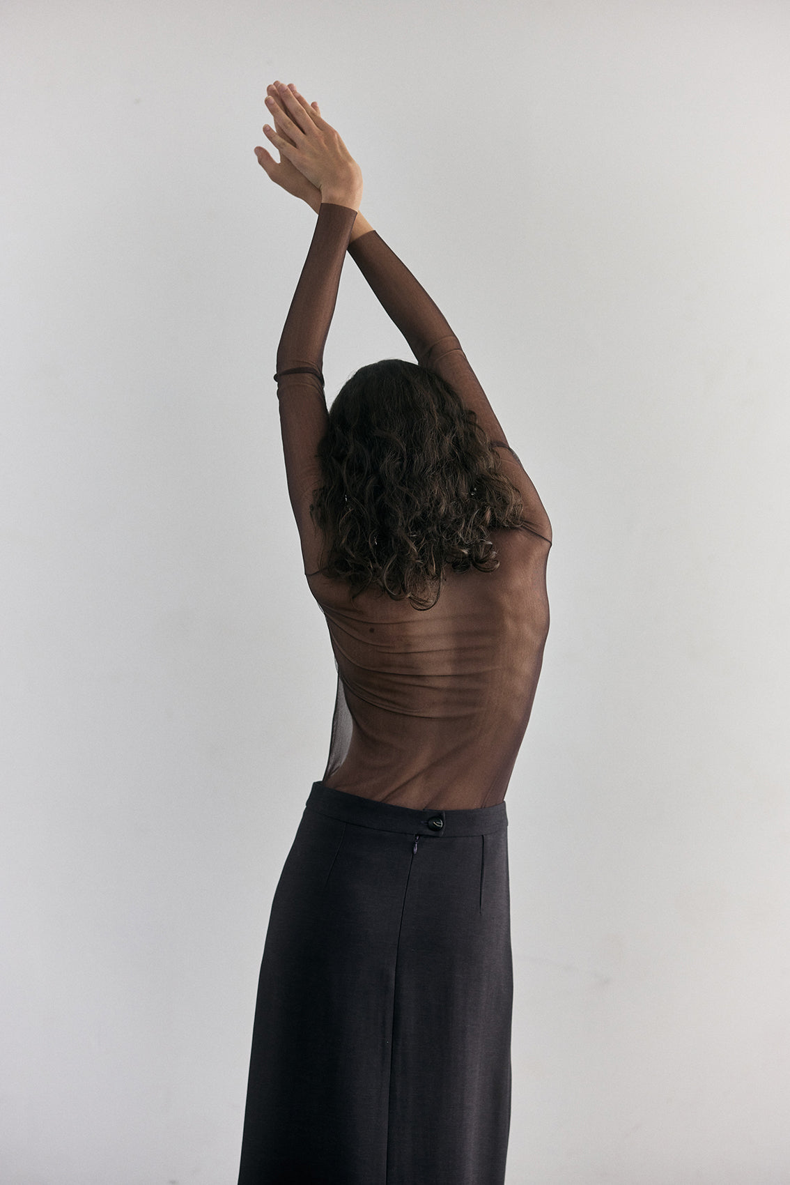 Beatle Seda Transparente - Berenjena